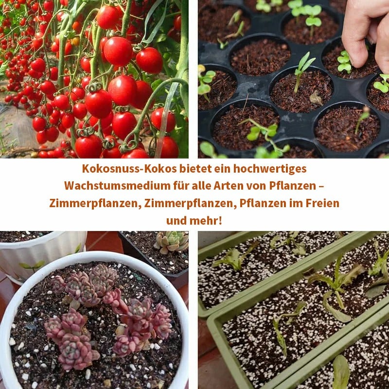 Kokoserde-Ziegel – Nährstoffreiches Pflanzsubstrat für Anzucht, Sukkulenten & Gemüse 🌱🪴