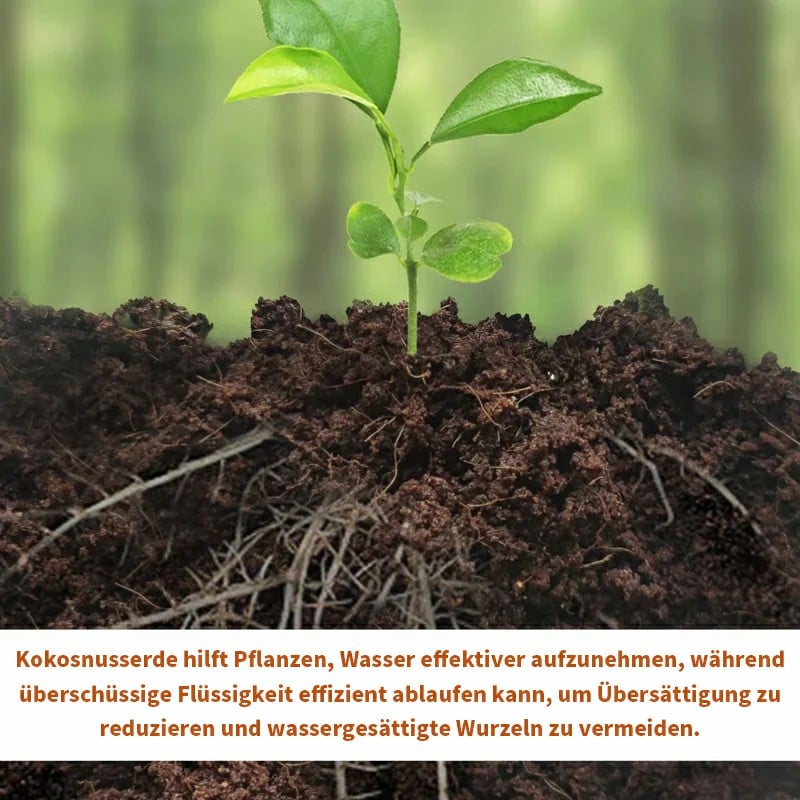Kokoserde-Ziegel – Nährstoffreiches Pflanzsubstrat für Anzucht, Sukkulenten & Gemüse 🌱🪴
