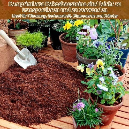 Kokoserde-Ziegel – Nährstoffreiches Pflanzsubstrat für Anzucht, Sukkulenten & Gemüse 🌱🪴